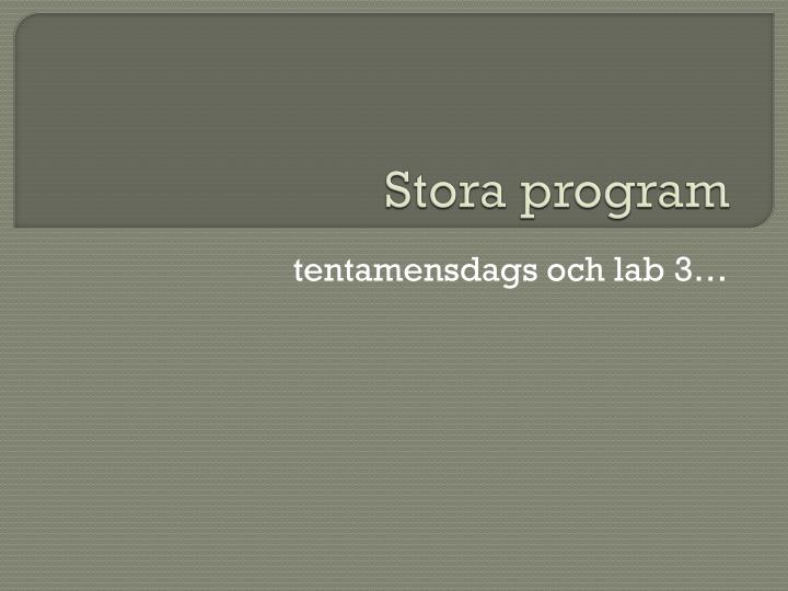 stora program