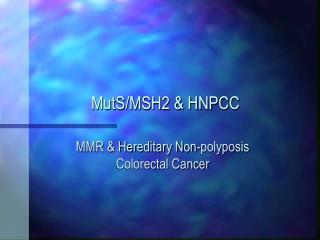MutS/MSH2 &amp; HNPCC