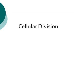 Cellular Division