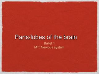 Parts/lobes of the brain