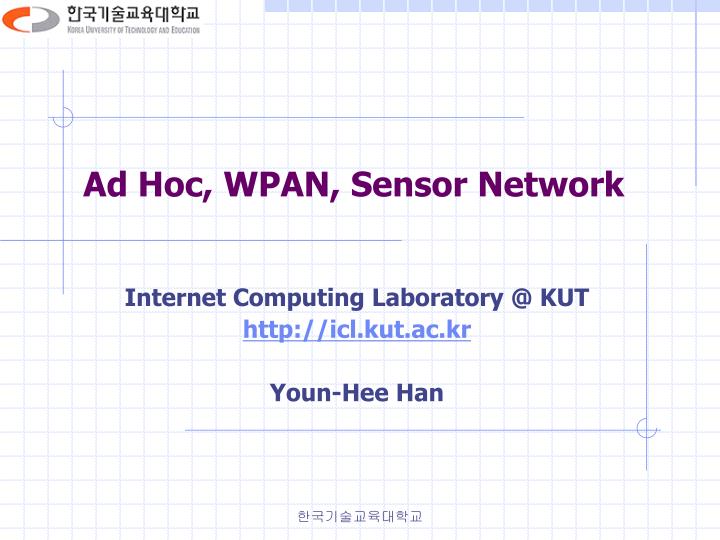 ad hoc wpan sensor network