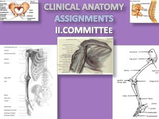 CLINICAL ANATOMY ASSIGNMENTS II.COMMITTE E