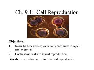 Ch. 9.1: Cell Reproduction