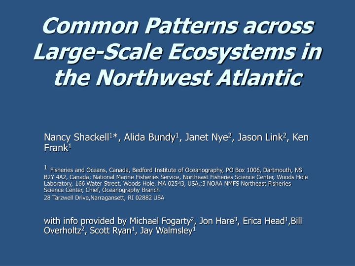 common patterns across large scale ecosystems in the northwest atlantic