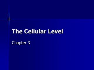 The Cellular Level