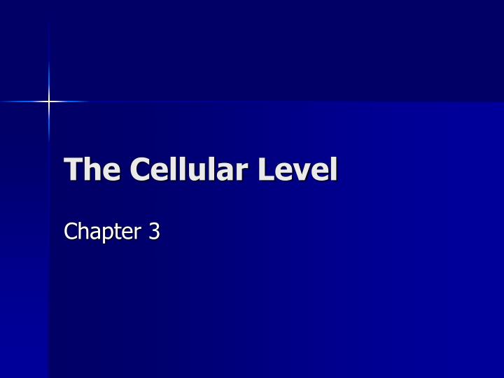 the cellular level
