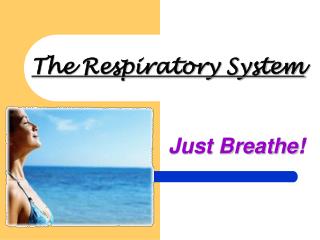 The Respiratory System