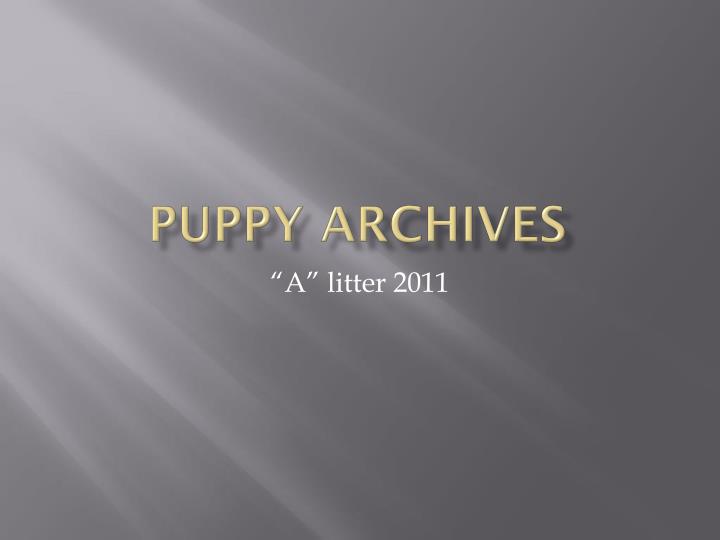 puppy archives
