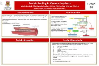 Protein Fouling in Vascular Implants