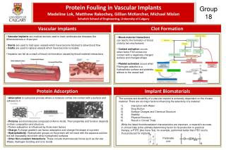 Protein Fouling in Vascular Implants