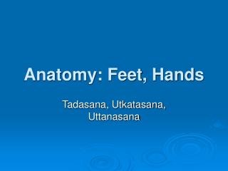 Anatomy: Feet, Hands