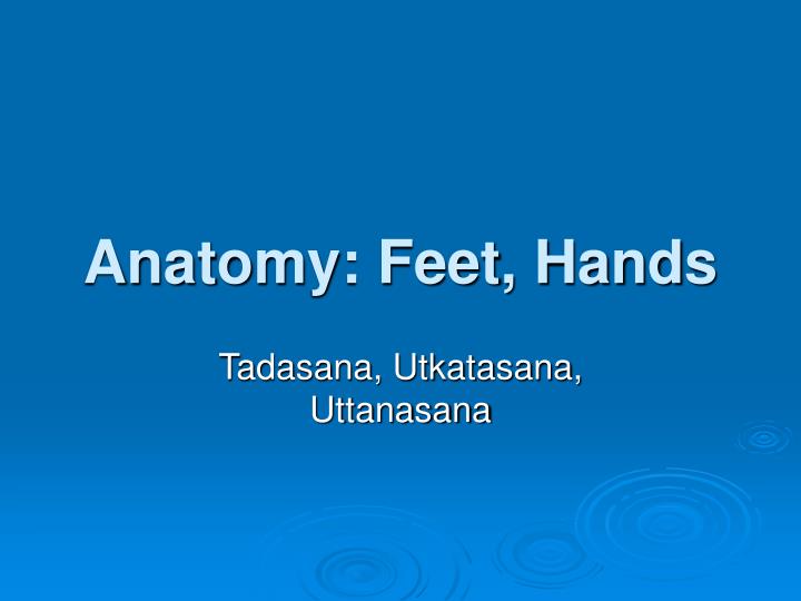 anatomy feet hands