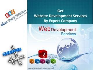 Get website development services by expert company: