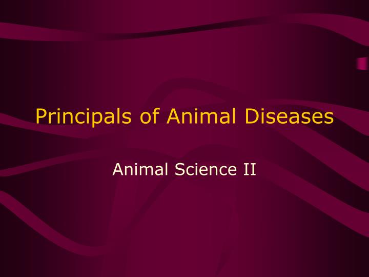 principals of animal diseases
