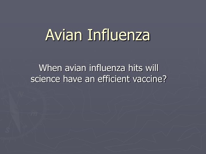 avian influenza